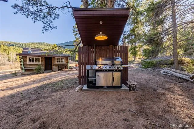 9719 Beaver Pond Conifer, CO 80433
