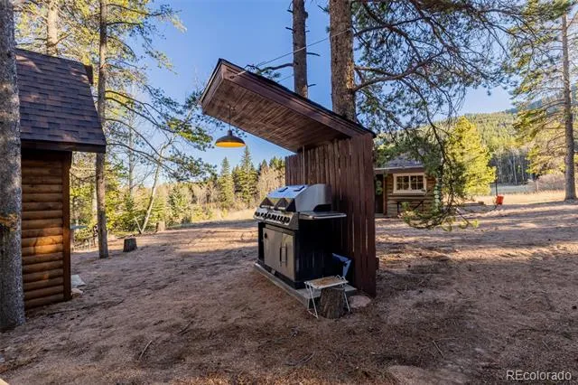 9719 Beaver Pond Conifer, CO 80433