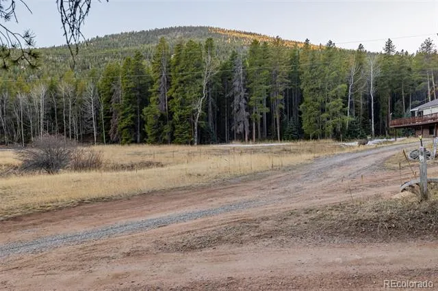 9719 Beaver Pond Conifer, CO 80433