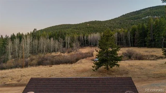 9719 Beaver Pond Conifer, CO 80433