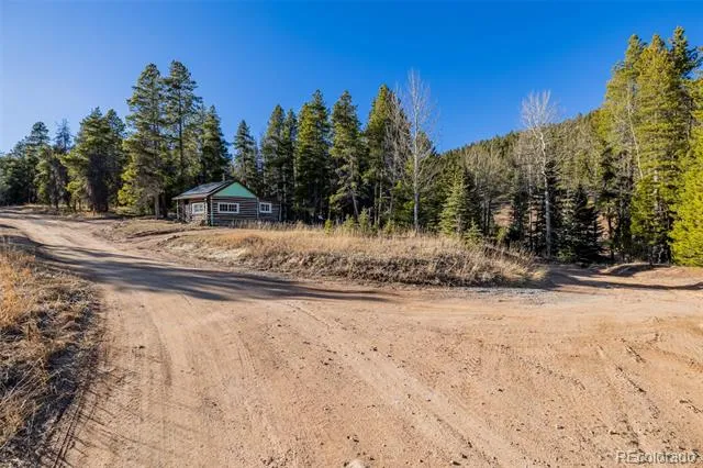 9719 Beaver Pond Conifer, CO 80433