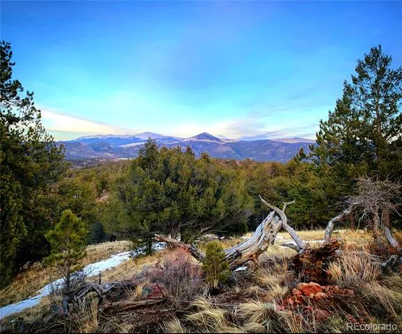 986 Apache Road Florissant, CO 80816