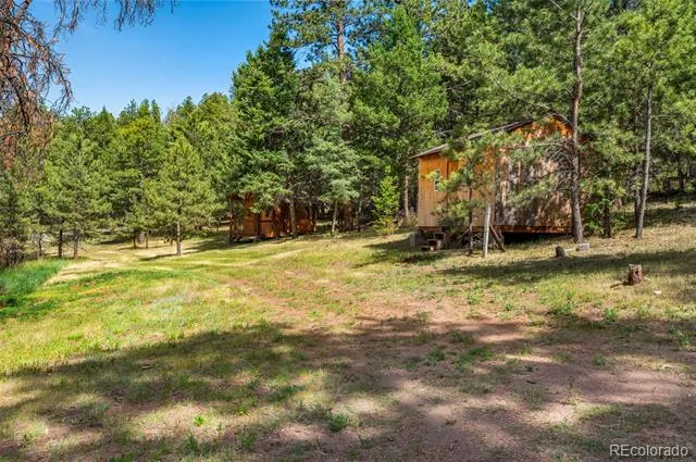 986 Apache Road Florissant, CO 80816
