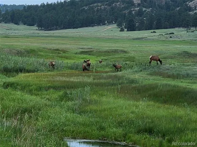 986 Apache Road Florissant, CO 80816