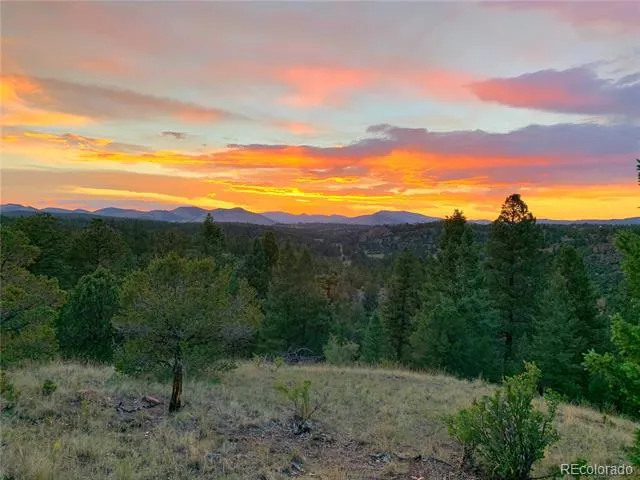 986 Apache Road Florissant, CO 80816