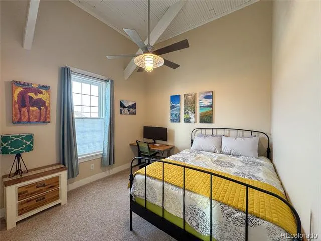 600 Chestnut Street #A Leadville, CO 80461