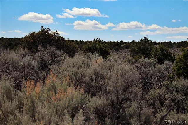 Lot 16 Gold Hawk San Luis, CO 81152