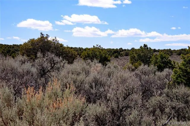 Lot 16 Gold Hawk San Luis, CO 81152