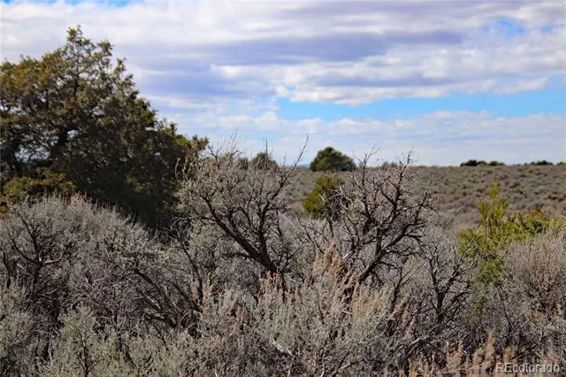 Lot 16 Gold Hawk San Luis, CO 81152