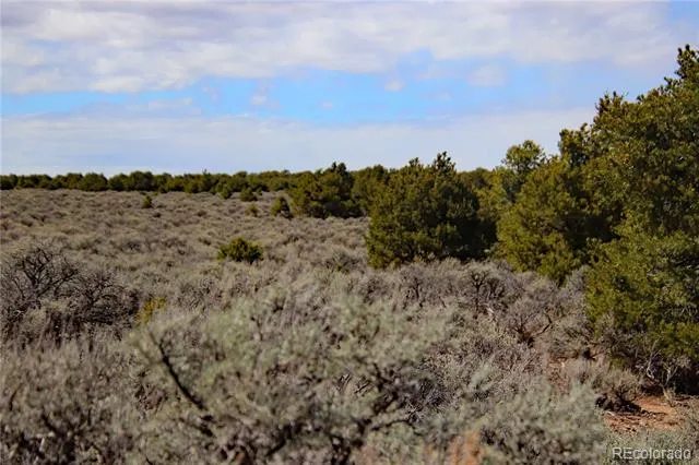 Lot 16 Gold Hawk San Luis, CO 81152