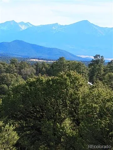 1105 Owens Lane Cotopaxi, CO 81223