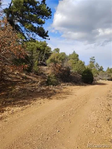 1105 Owens Lane Cotopaxi, CO 81223