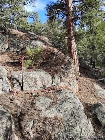 1105 Owens Lane Cotopaxi, CO 81223