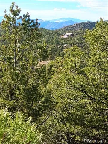 1105 Owens Lane Cotopaxi, CO 81223