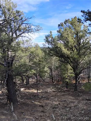 1105 Owens Lane Cotopaxi, CO 81223