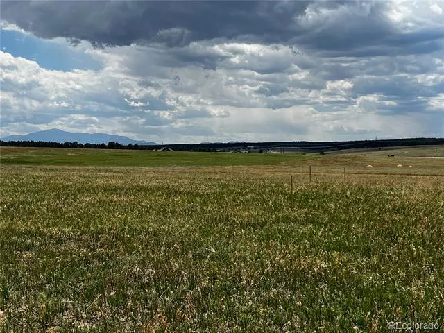 16990 Early Light Drive Colorado Springs, CO 80908