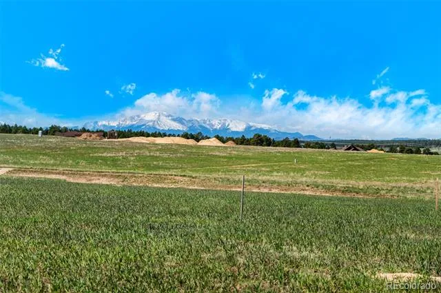 16990 Early Light Drive Colorado Springs, CO 80908