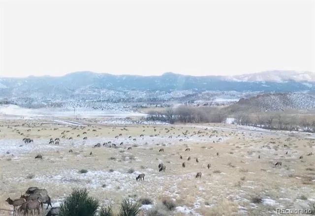 14 Rocky Mountain Road Loveland, CO 80538