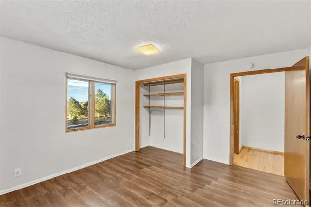 1014 Elfin Glen Drive Divide, CO 80814