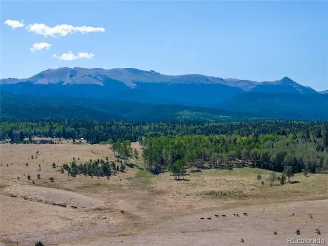 1014 Elfin Glen Drive Divide, CO 80814
