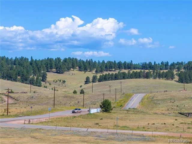 1014 Elfin Glen Drive Divide, CO 80814