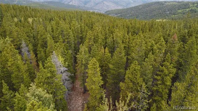 000 Hidden Wilderness Road Evergreen, CO 80439