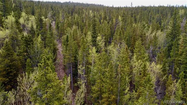 000 Hidden Wilderness Road Evergreen, CO 80439