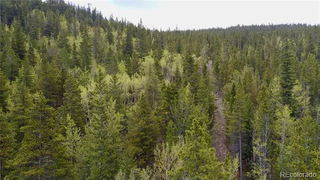 000 Hidden Wilderness Road Evergreen, CO 80439