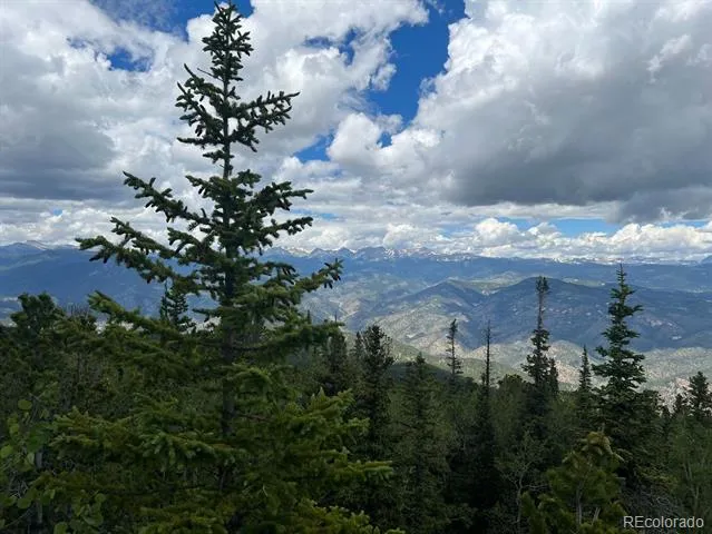 000 Hidden Wilderness Road Evergreen, CO 80439