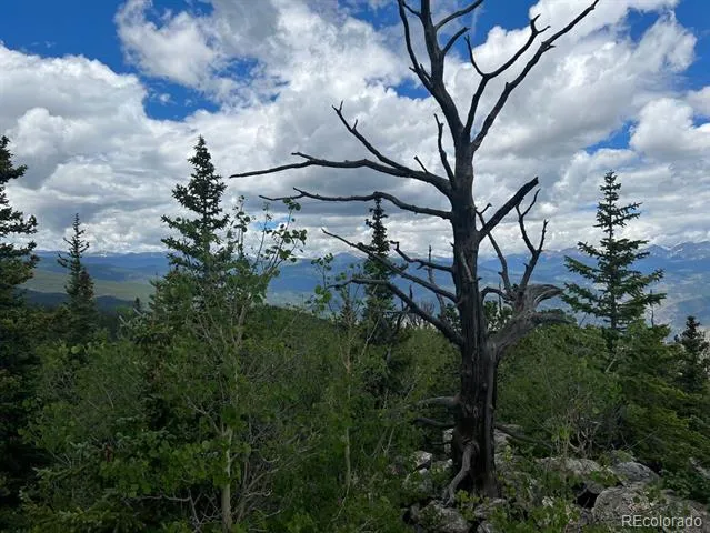 000 Hidden Wilderness Road Evergreen, CO 80439