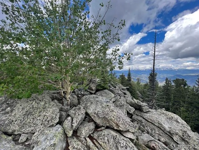 000 Hidden Wilderness Road Evergreen, CO 80439