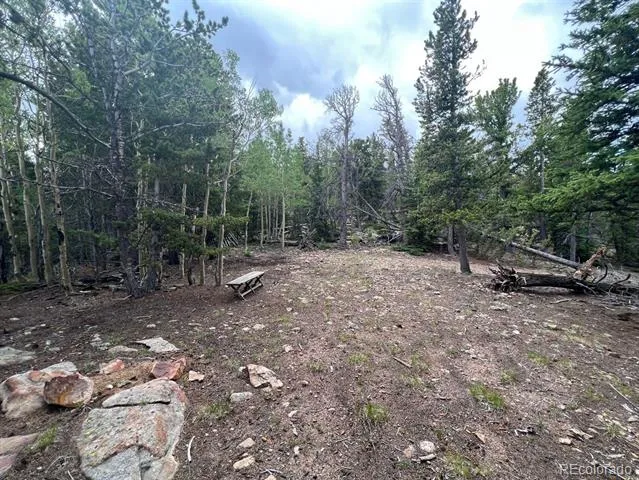 000 Hidden Wilderness Road Evergreen, CO 80439