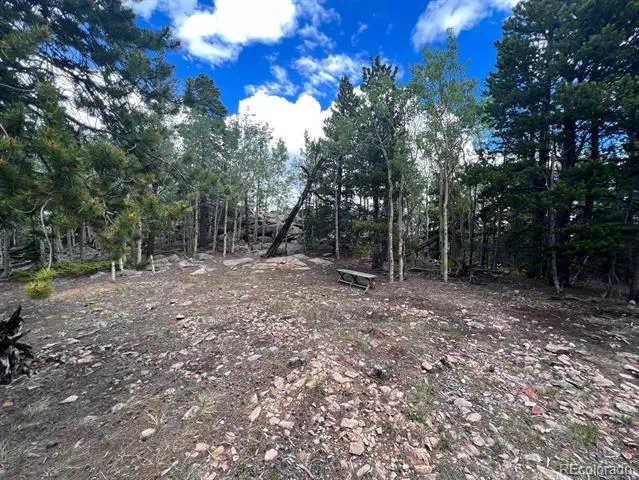 000 Hidden Wilderness Road Evergreen, CO 80439