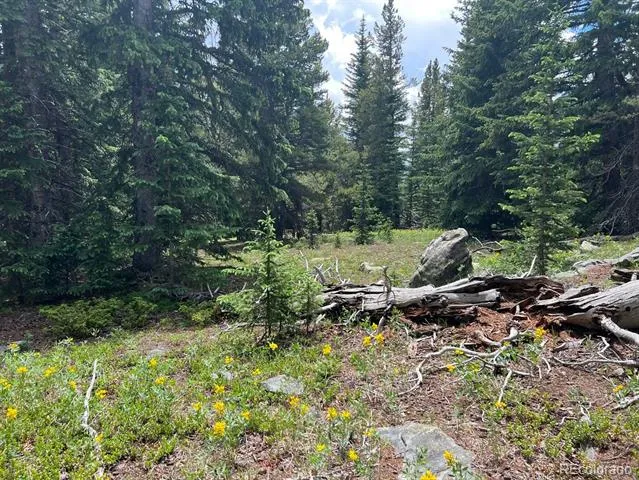000 Hidden Wilderness Road Evergreen, CO 80439