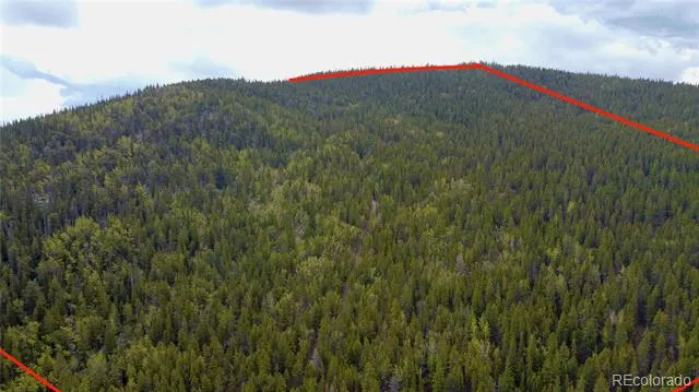 000 Hidden Wilderness Road Evergreen, CO 80439