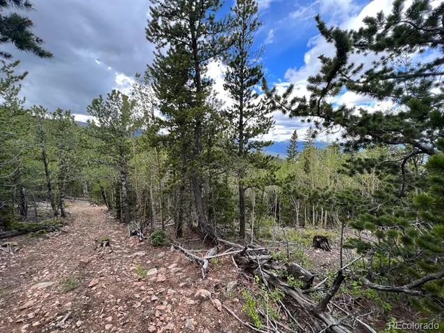 000 Hidden Wilderness Road Evergreen, CO 80439