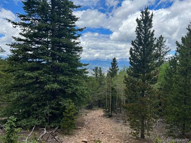 000 Hidden Wilderness Road Evergreen, CO 80439