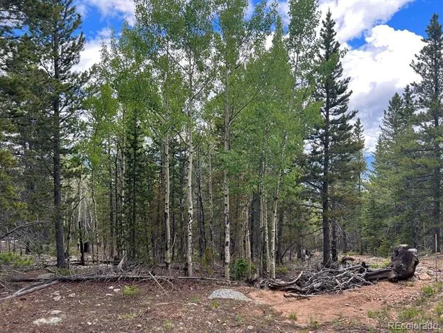 000 Hidden Wilderness Road Evergreen, CO 80439