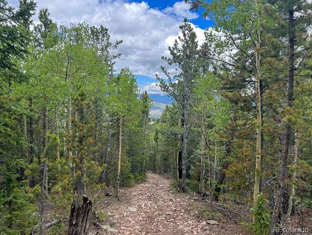 000 Hidden Wilderness Road Evergreen, CO 80439