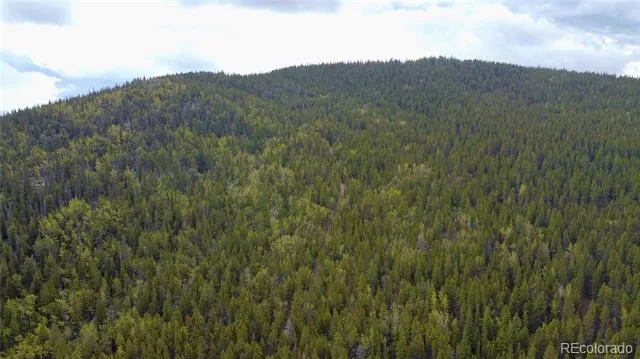 000 Hidden Wilderness Road Evergreen, CO 80439