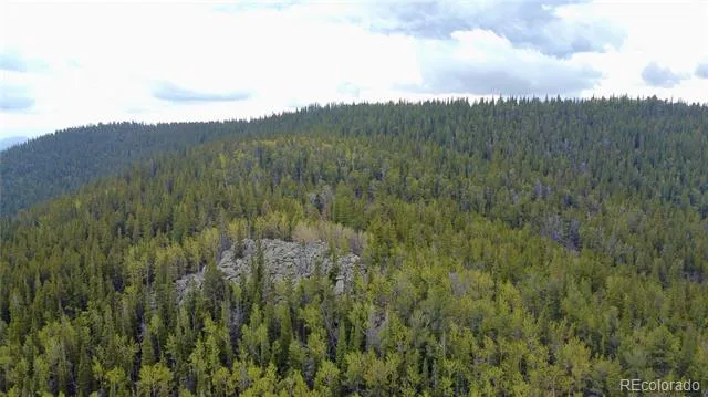 000 Hidden Wilderness Road Evergreen, CO 80439