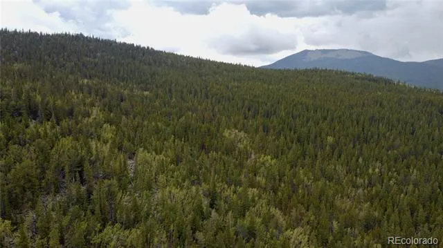 000 Hidden Wilderness Road Evergreen, CO 80439