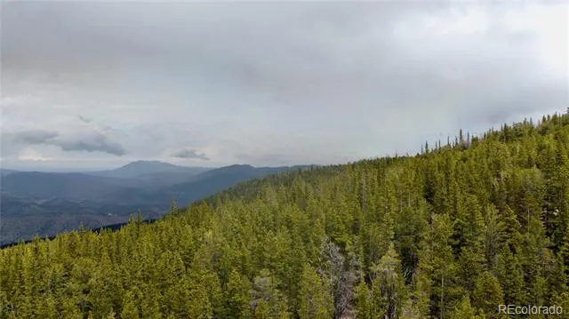 000 Hidden Wilderness Road Evergreen, CO 80439