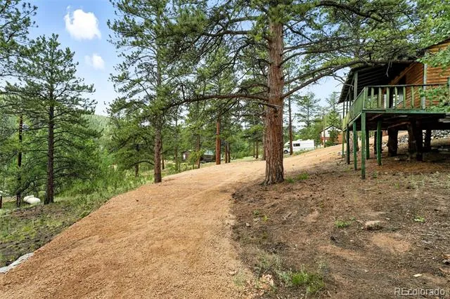 132 Jones Road Bailey, CO 80421