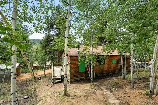 132 Jones Road Bailey, CO 80421