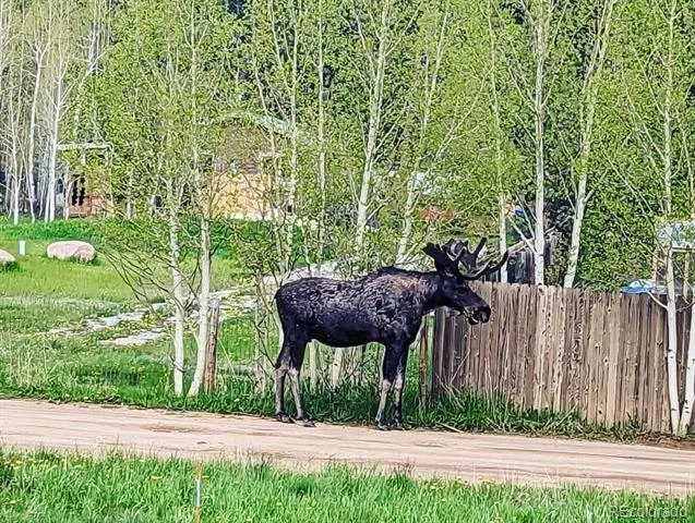 132 Jones Road Bailey, CO 80421