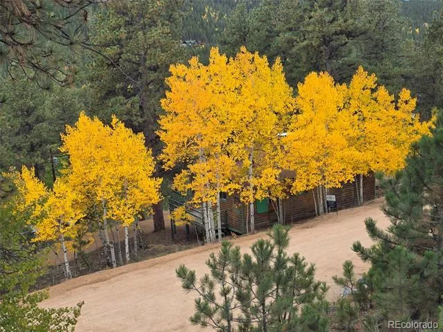 132 Jones Road Bailey, CO 80421