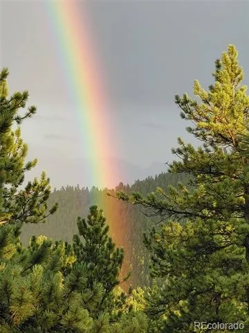 132 Jones Road Bailey, CO 80421