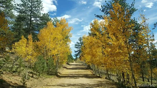 132 Jones Road Bailey, CO 80421