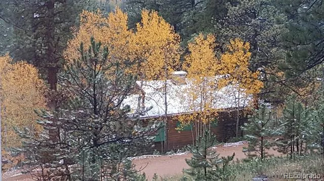 132 Jones Road Bailey, CO 80421